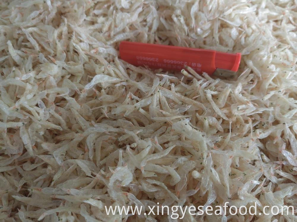 Dried Small Shrimp